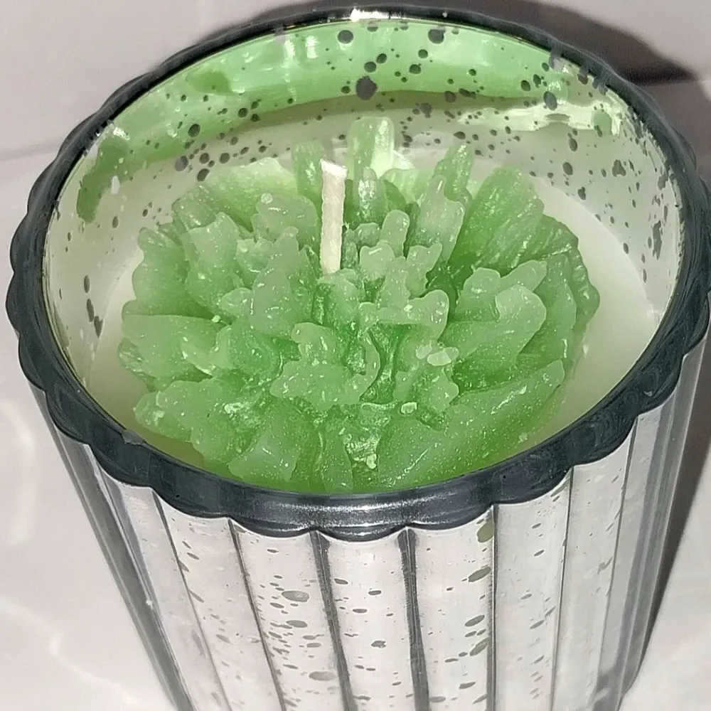 Hand crafted Enchanted Forrest limited edition candle 8oz